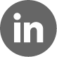 LinkedIn Icon